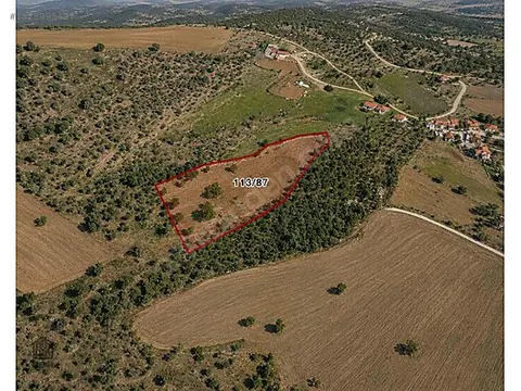 Uşak Merkez Selvioğlu Köyü Satılık 7.000 m² Tarla — Fotoğraf 3